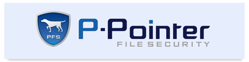 P-Pointer File Security