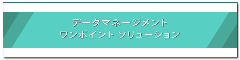 データマネジメント 課題メニュー